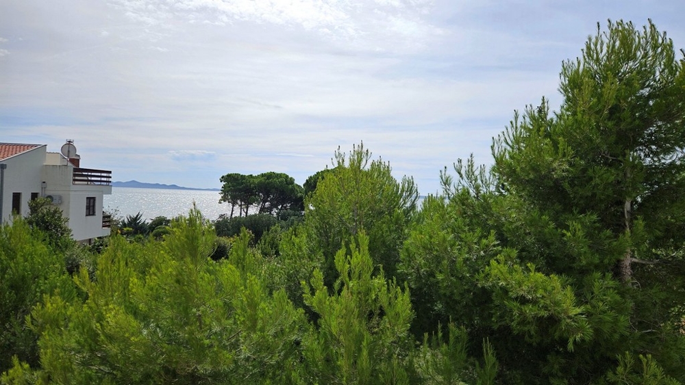 Utsikt över havet bakom täta gröna träd, med ett vitt hus och horisonten i bakgrunden.