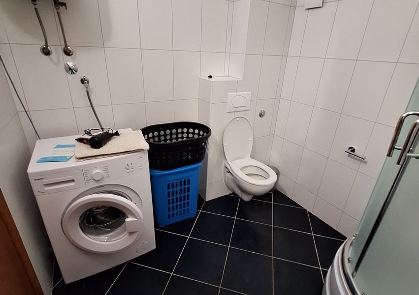 Badrum med tvättmaskin och toalett