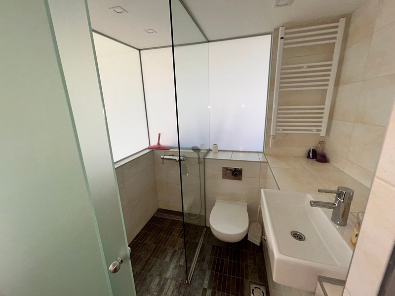 badrum med dusch och handfat,