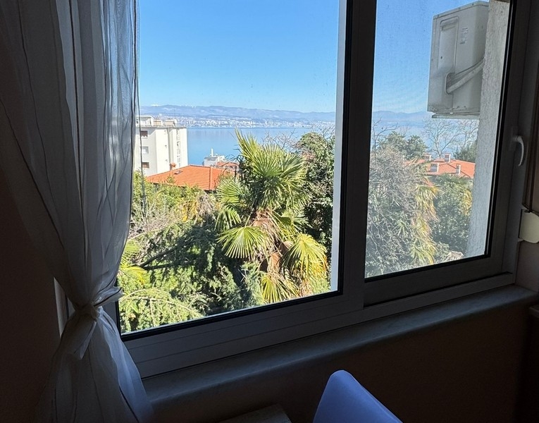 Utsikt från fönstret med havsutsikt och palmer i förgrunden