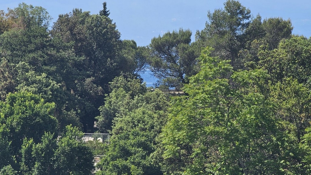 Utsikt från balkongen till havet.