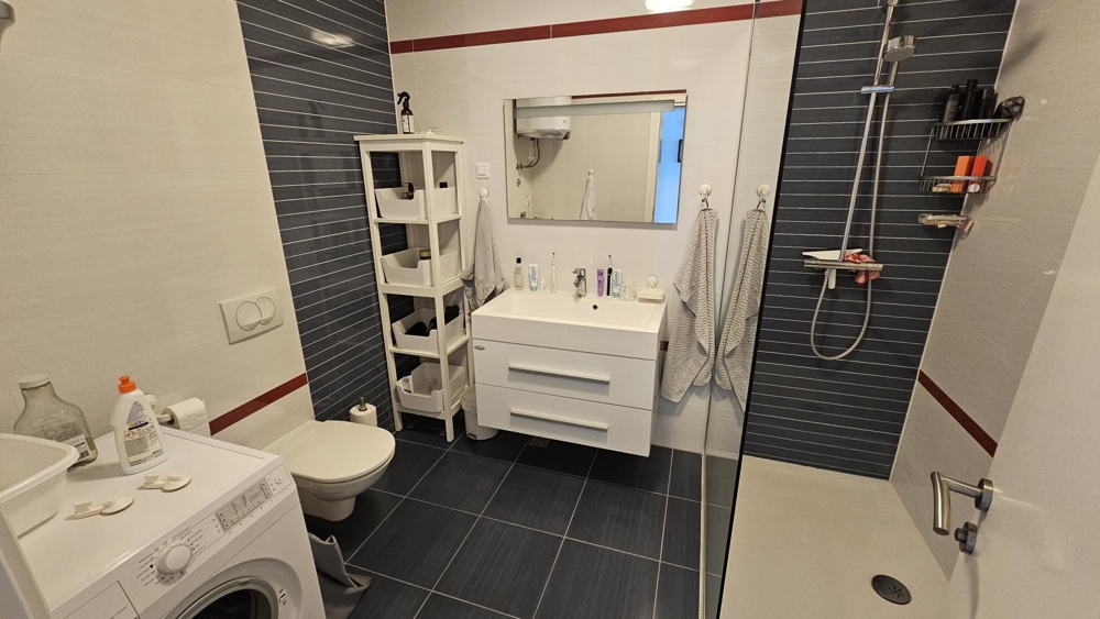 Badrum med dusch, toalett och tvättmaskin