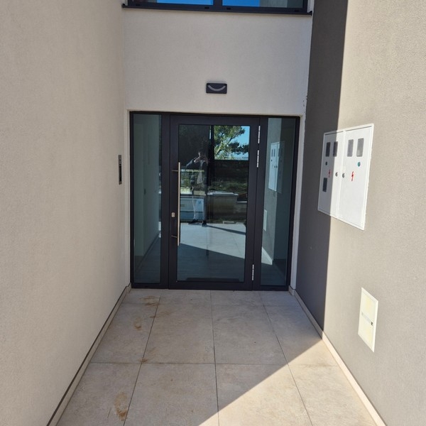 Husentré med moderna glasrutor