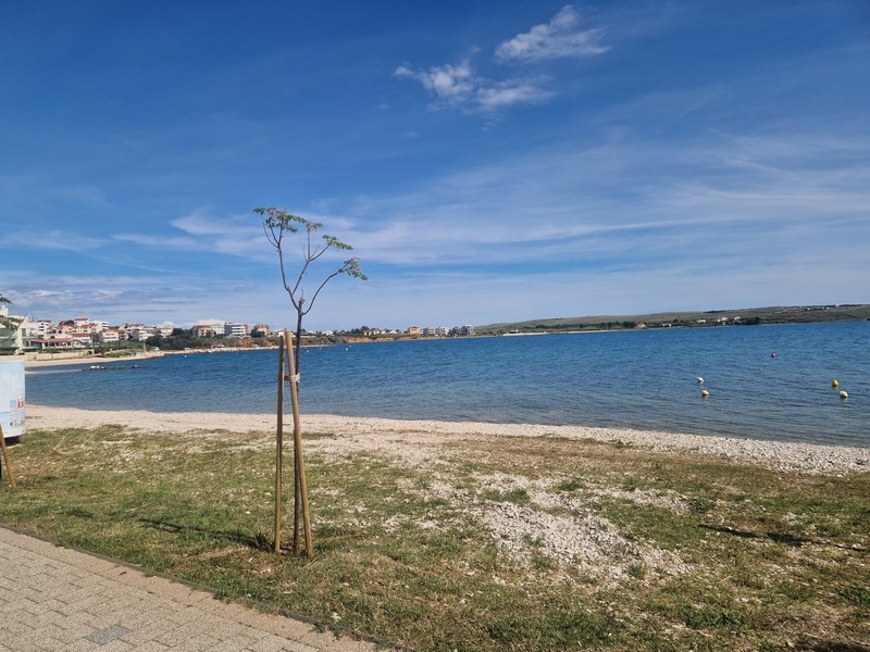 Kustpromenaden och stranden i Povljana