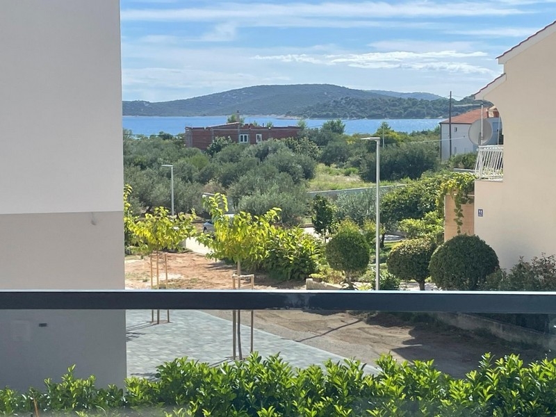 Havsutsikt över Vodice med olivträd