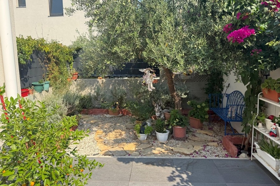 Trädgård med gamla olivträd och blommor