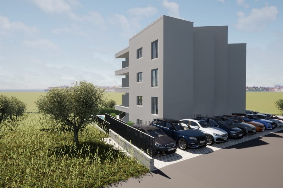 Olivträd vid infarten till parkeringsplatserna