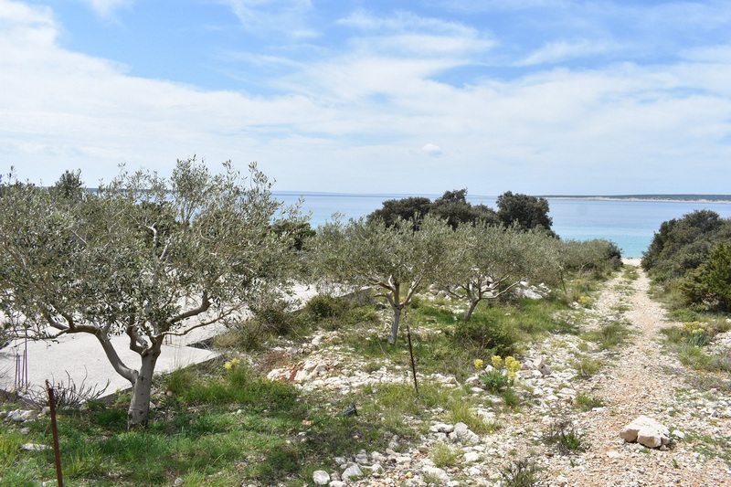 Seaside fastigheter i Kroatien - Panorama Scouting.
