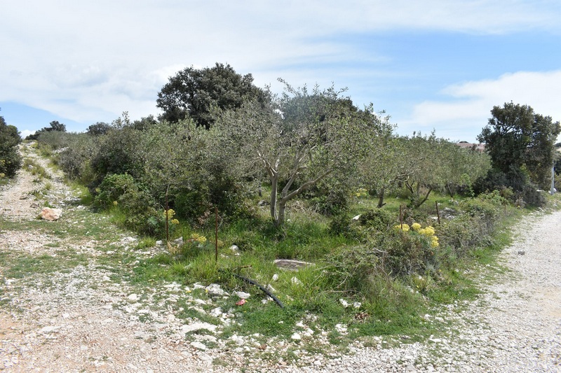 Fastigheter vid havet i Kroatien - Panorama Scouting.
