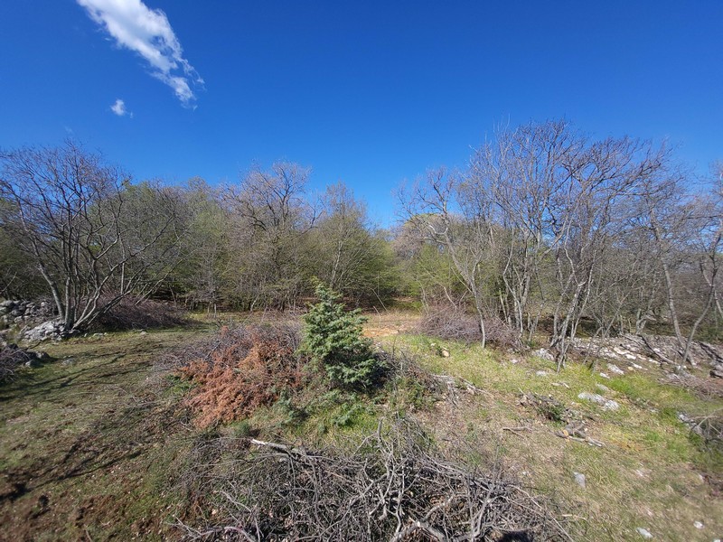 Köp mark i Kroatien, Kvarnerbukten, ön Krk - Panorama Scouting Immobilien G408, inköpspris: 480 000 EUR - bild 3