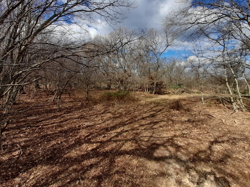 Köp mark i Kroatien, Kvarnerbukten, ön Krk - Panorama Scouting Immobilien G408, inköpspris: 480 000 EUR - Bild 4