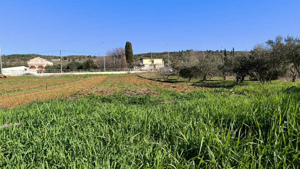 Tomt i Posedarje till salu.