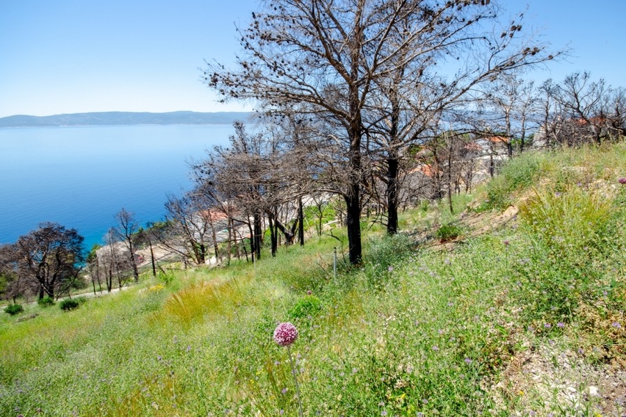 Byggnadsmark med panoramautsikt över havet Kroatien