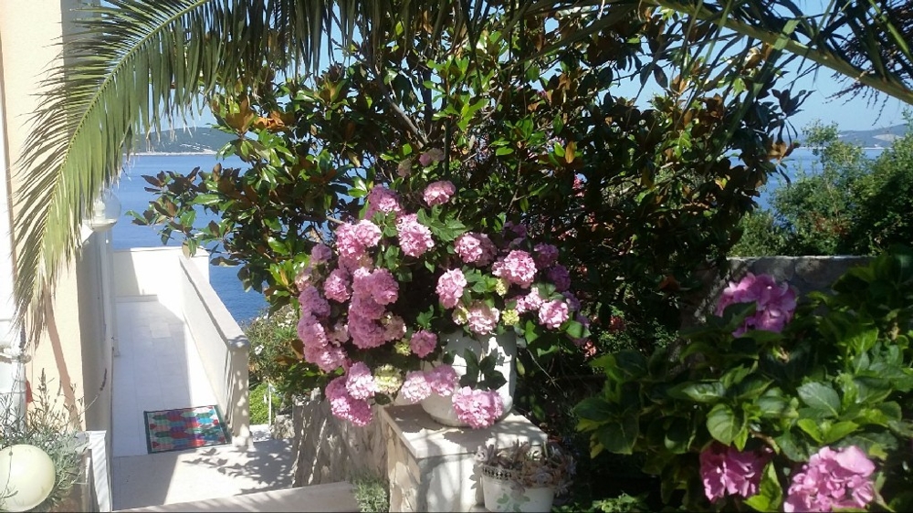 Utsikt över Medelhavsträdgården och ingången till fastigheten - köp en villa i Kroatien.