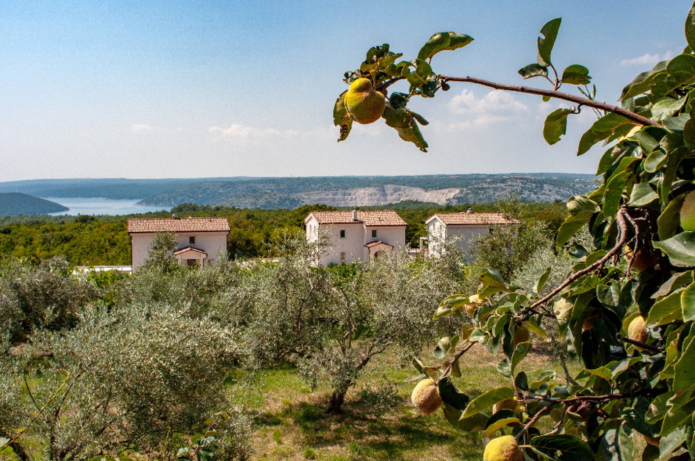 Köp stenhus med havsutsikt i Istrien, Kroatien - Panorama Scouting GmbH.