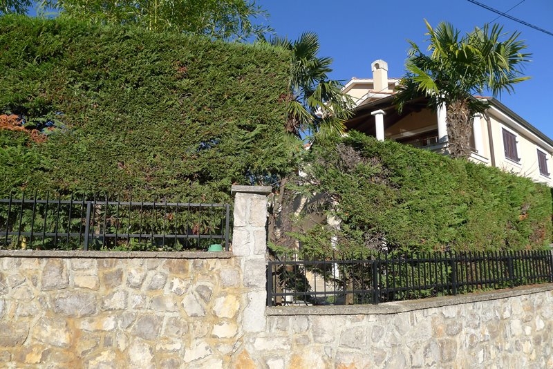 Medelhavsvilla omgiven av en grön trädgård med palmer och medelhavsvegetation.