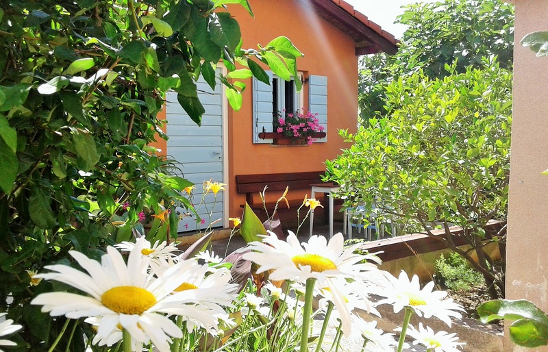 Intryck av medelhavsträdgården på fastigheten H1816, Zadar, Kroatien.