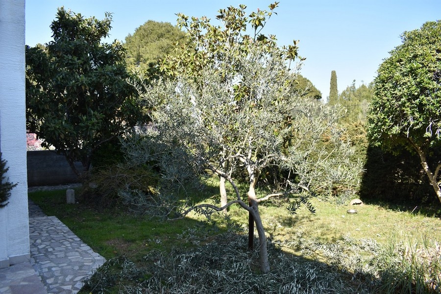 Köp ett hus i Kroatien, norra Dalmatien, ön Ugljan / Pasman / Dugi Otok - Panorama Scouting Immobilien H2133, inköpspris: 520 000 EUR - bild 5