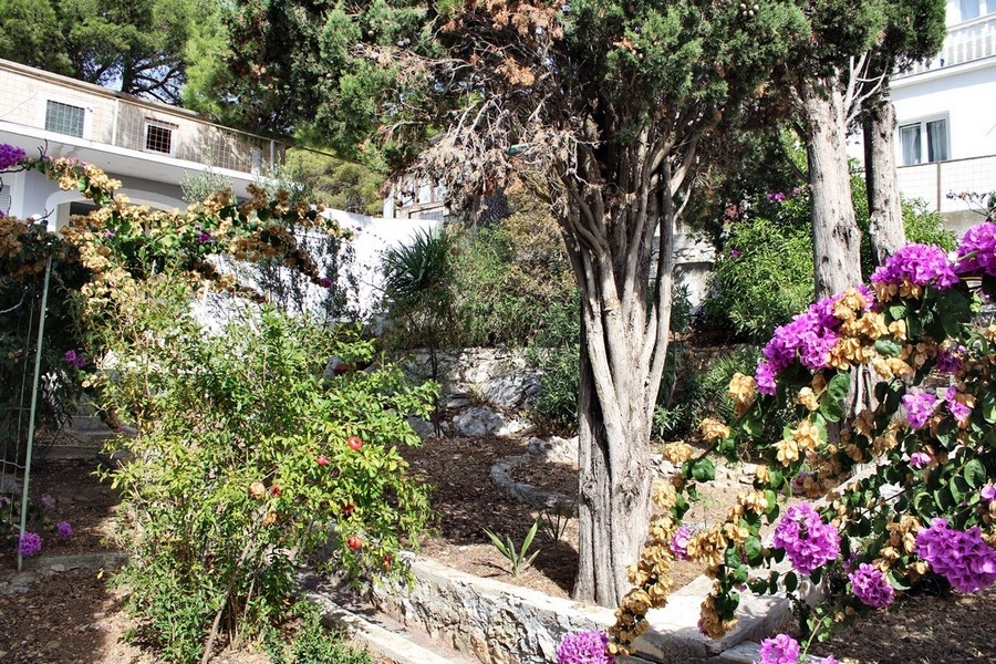 Köp ett hus i Kroatien, norra Dalmatien, ön Murter Tisno - Panorama Scouting Immobilien H2295, inköpspris: 590 000 EUR - bild 9