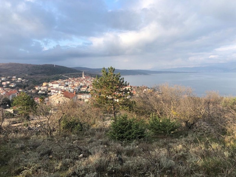 Fastighetsmäklare för Kroatien - Panorama Scouting H2399