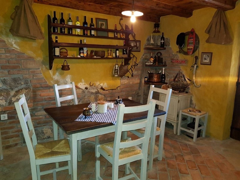 Hus med grön trädgård och palmer