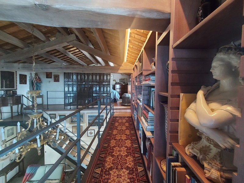 Bibliotek med fantastiska antikviteter