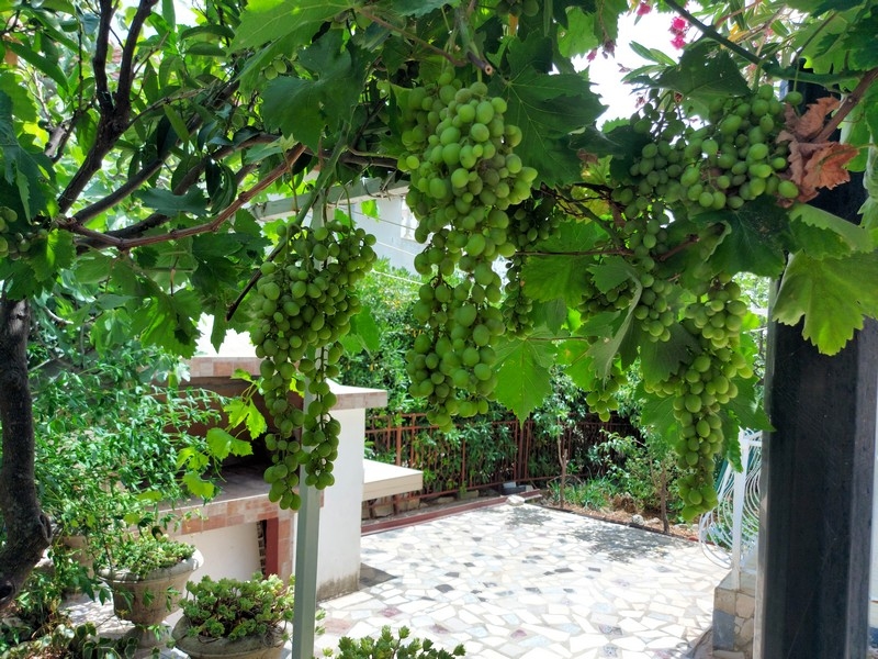 Grillplats i husets trädgård