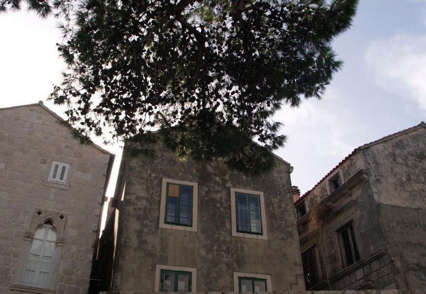 Hus i centrum av den gamla staden Korcula i Kroatien - Panorama Scouting.