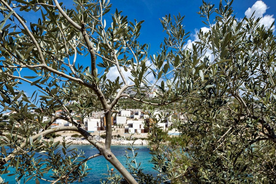 Panorama havsutsikt - Panorama Scouting - Köp villa Kroatien