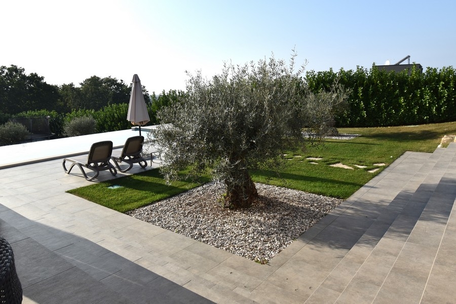 Villa med anlagd trädgård med olivträd