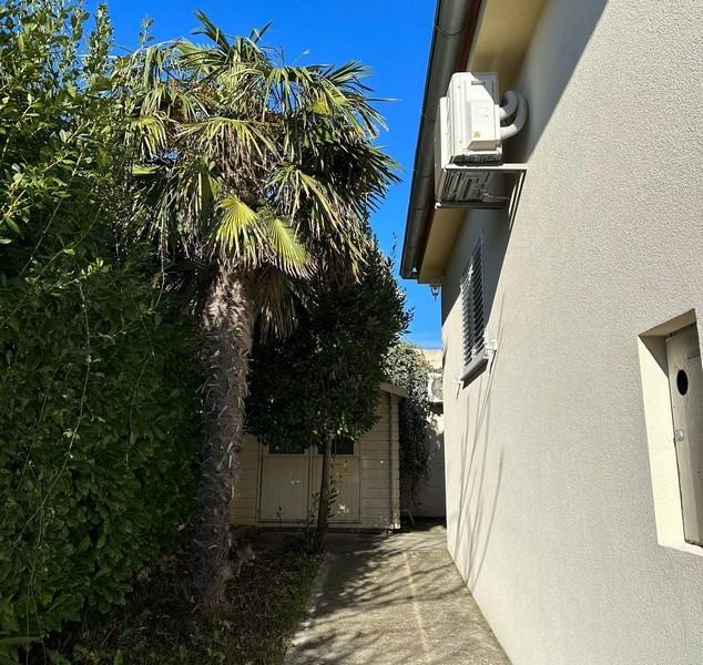 Entré med palmträd.