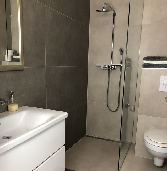 Modernt badrum med glasdusch och stilrent kakel i en fastighet i Kroatien