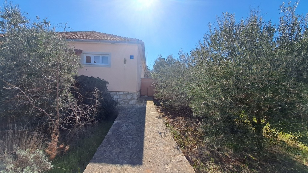 Stig till ingången till ett hus med olivträd på sidan, kustfastighet i Kroatien