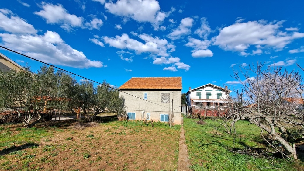 Framifrån av ett traditionellt kroatiskt hus med en gräsmatta och olivträd på en rymlig tomt i Tkon, Pasman, Kroatien.