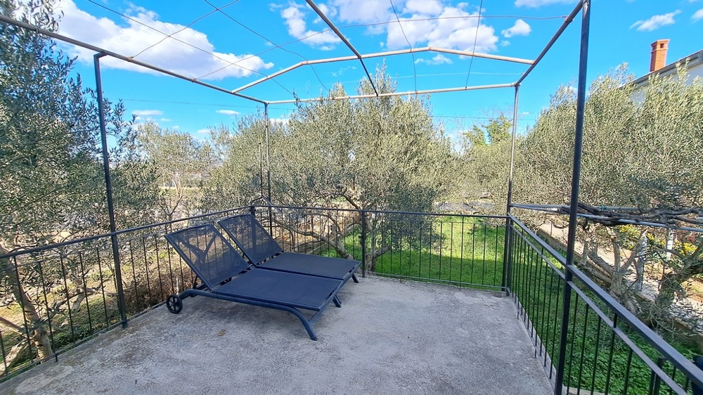 Stor terrass med utsikt över en olivlund, inhägnad, med en solstol i Tkon, Pasman, Kroatien.