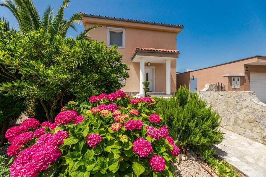 Trädgårdsutsikt över ett hyreshus i Kroatien med blommande hortensior och medelhavsväxter