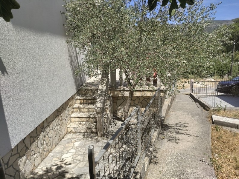 Trädgårdsgång på sidan med olivträd, charmig detalj för att köpa ett hus i Kroatien