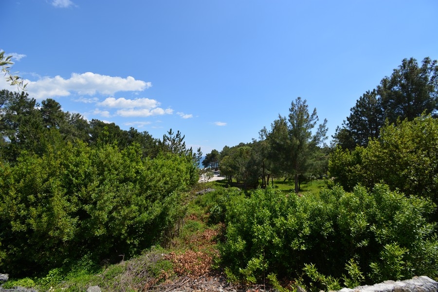 Utsikt över stranden och havet från terrassen på bottenvåningen.