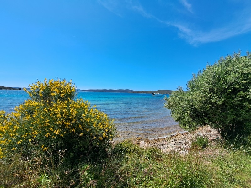 Strandfastigheter Kroatien - Panorama Scouting H3017.