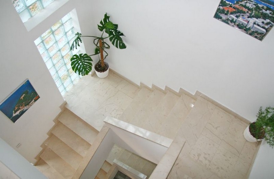 En trappa med ljus marmortrappa, stora fönster med glasblock, gröna växter i vita krukor och tavlor som hänger på väggarna.