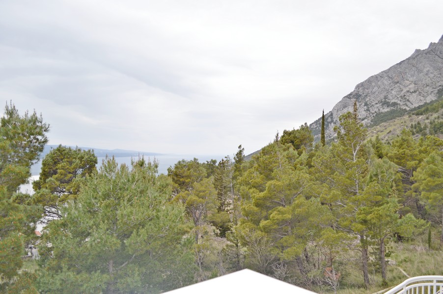 Utsikt från terrassen över bergen, tallskogen och havet.