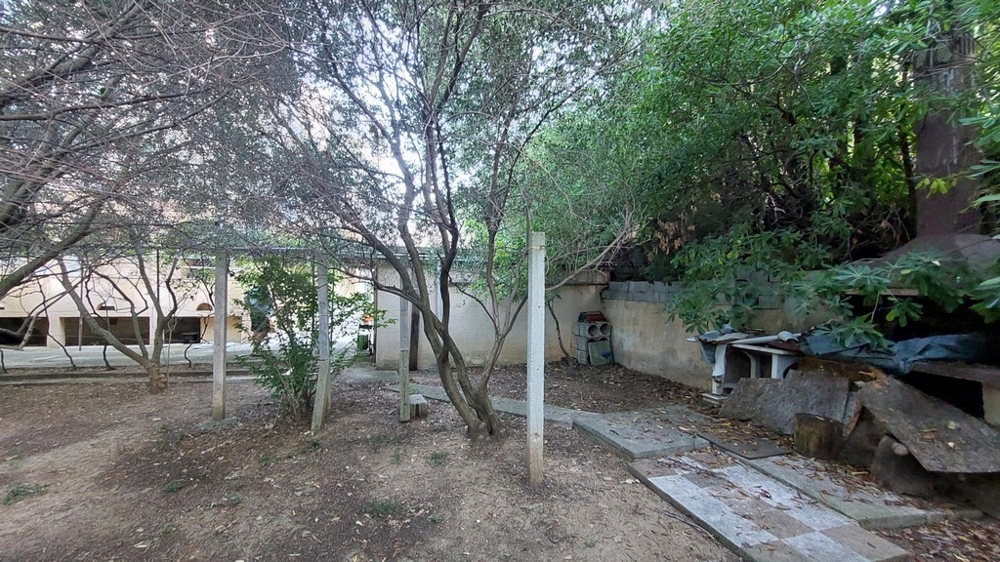 Trädgårdsområde med träd och växter i ett hus i Kroatien