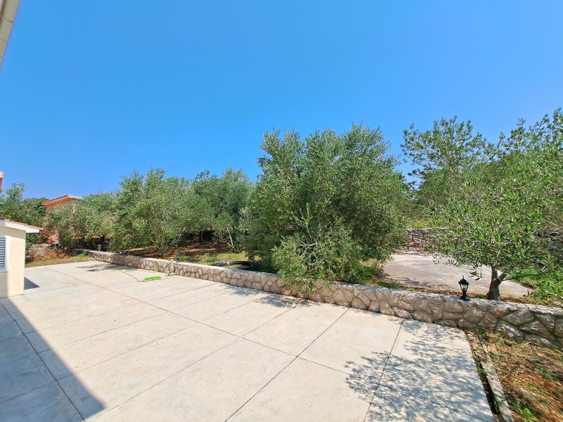 Terrass och utsikt över olivträden framför huset.