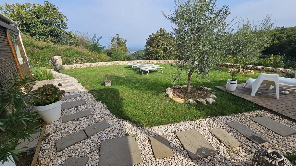 En välskött trädgård med ett olivträd och solstolar, omgiven av natur och en stenmur.