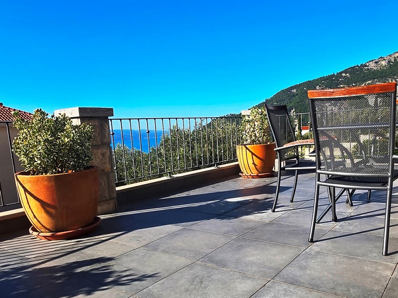 Solig terrass med växter