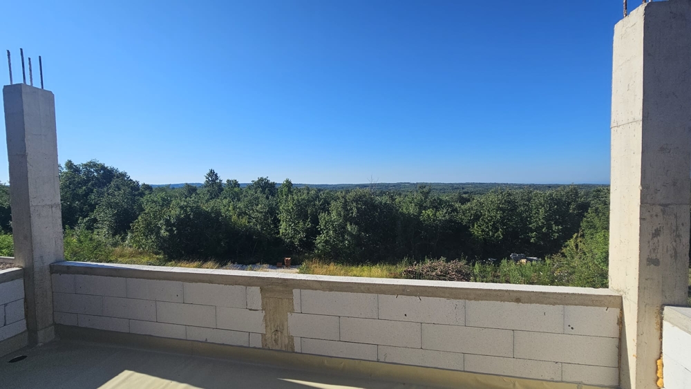 Utsikt över grönskan.