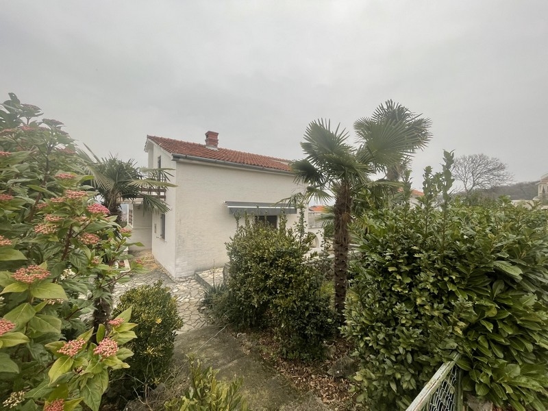 Hus med trädgård och palmer på ön Krk