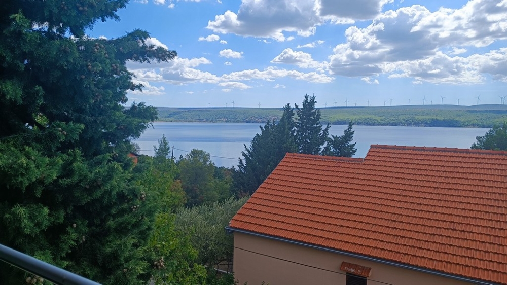 Utsikt över havet bakom träd