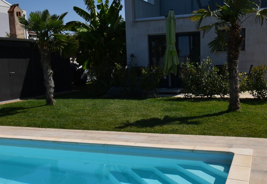 Poolområde med palmer och gräsmatta