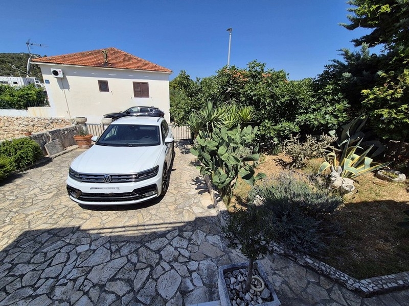 Trädgård med parkeringsplats och växter